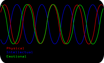 The Habit Cycle and Biorythms